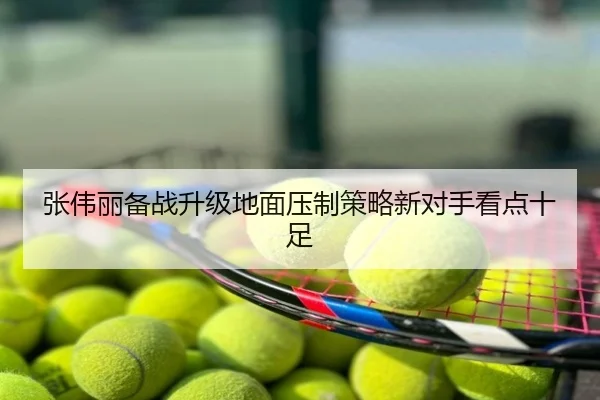 张伟丽备战升级地面压制策略新对手看点十足（CBA）
